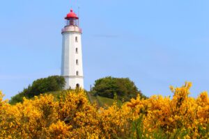 Leuchtturm Hiddensee - Urlaub an der Ostsee